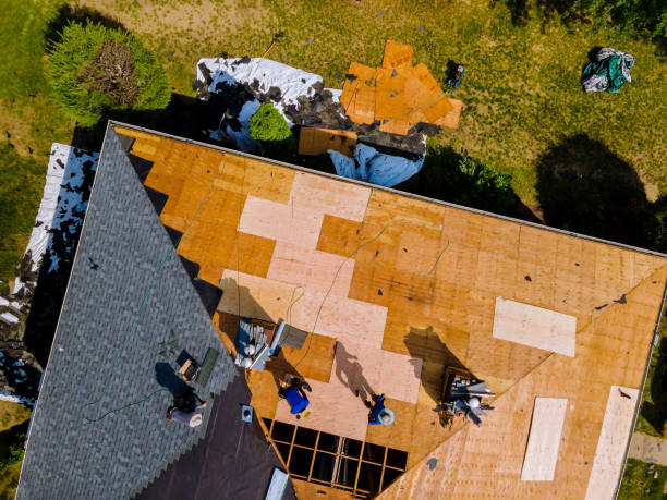 Best Flat Roof Repair Services  in Cao, ND